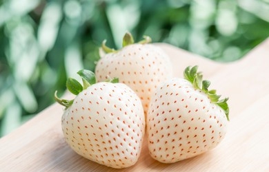 three white strawberries on a table
